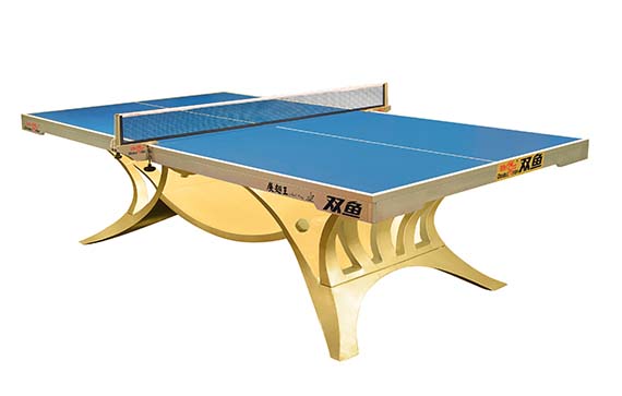 Premium Ping Pong Table