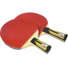 Double Fish Premium Table Tennis Racket